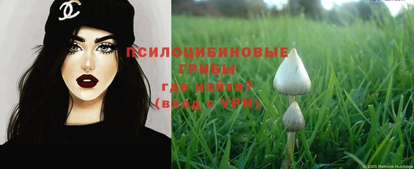 MDMA Premium VHQ Белокуриха