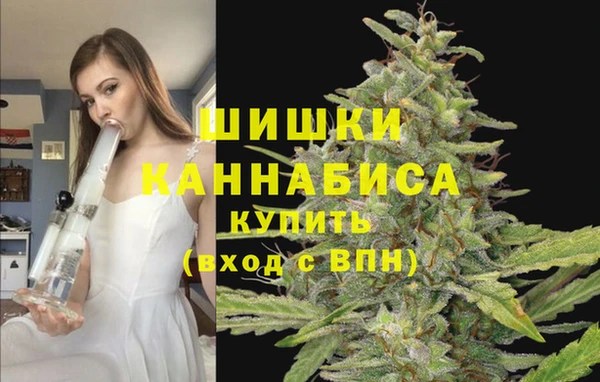 спиды Богданович
