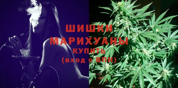 PSILOCYBIN Беломорск