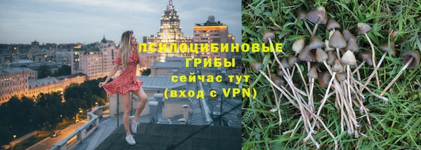 спиды Богданович