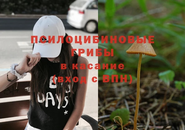 PSILOCYBIN Беломорск