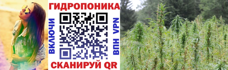 Канабис LSD WEED Ленинградская